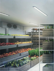 ct-foodnex photo thumbnail #1